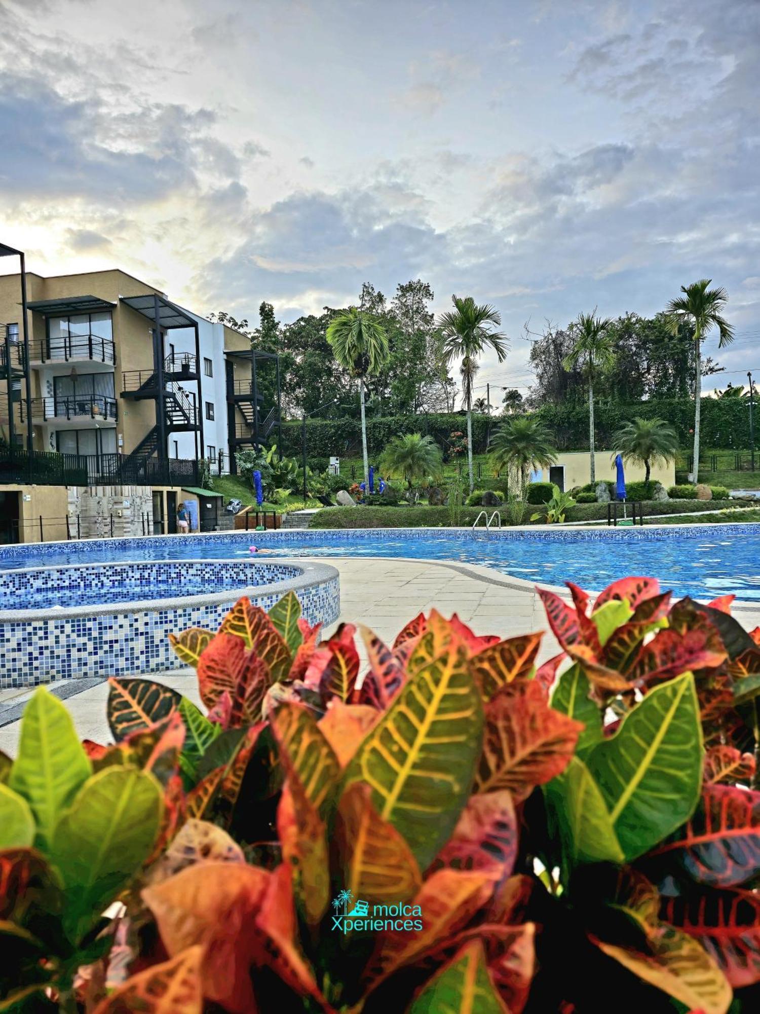 Apartamento Privado Vacacional A 5M Del Aeropuerto, 20 Minutos Del Parque Del Cafe Y Centro De Armenia Con 4 Piscinas, 3 Jacuzzi, Sauna By Molca Xperiences 3H Exterior photo