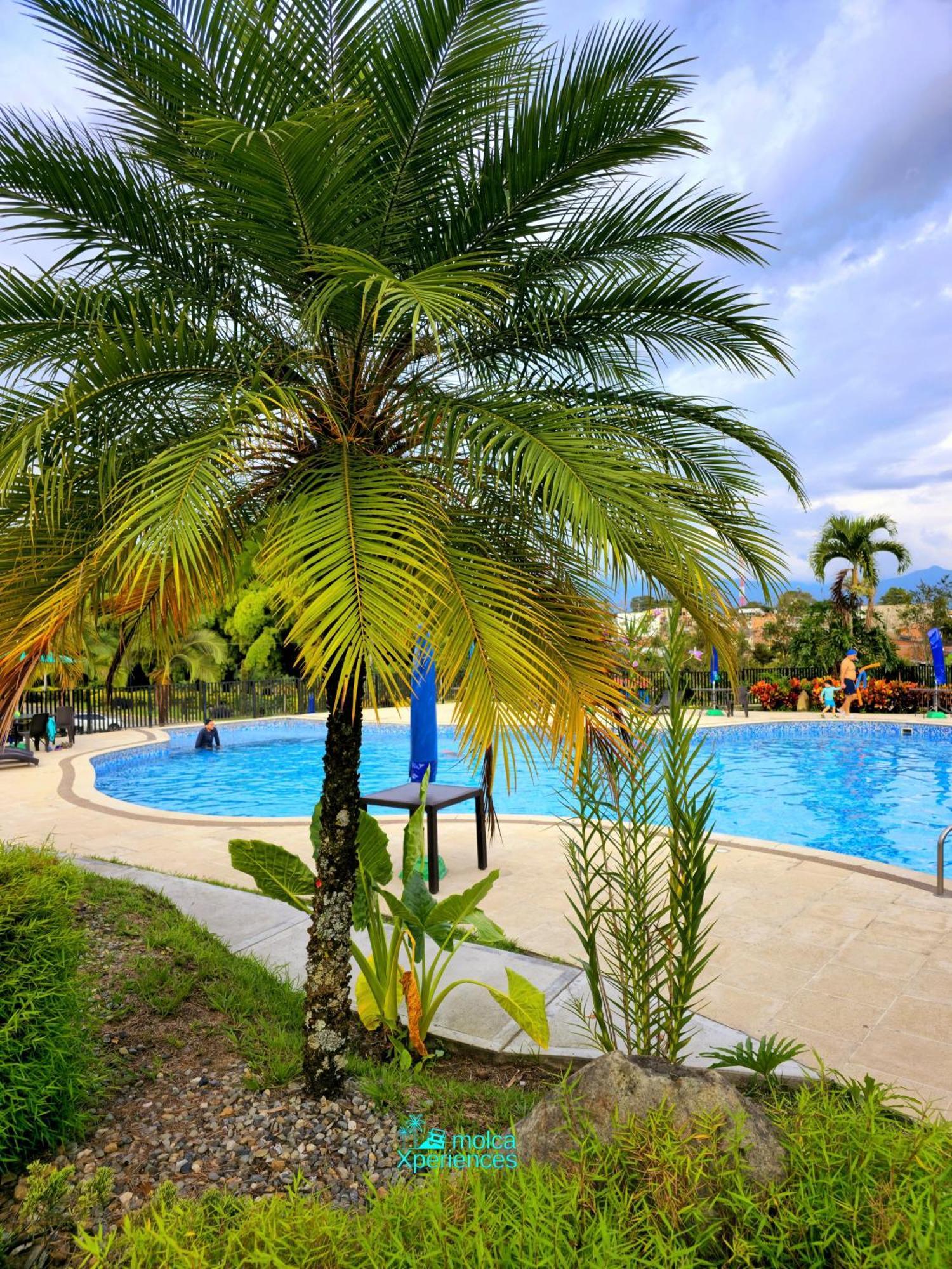 Apartamento Privado Vacacional A 5M Del Aeropuerto, 20 Minutos Del Parque Del Cafe Y Centro De Armenia Con 4 Piscinas, 3 Jacuzzi, Sauna By Molca Xperiences 3H Exterior photo